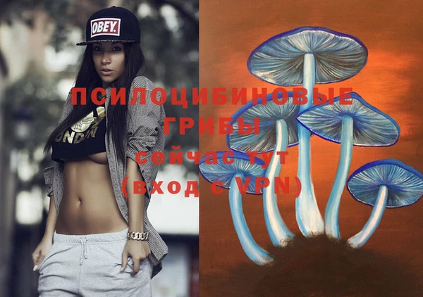 PSILOCYBIN Арсеньев