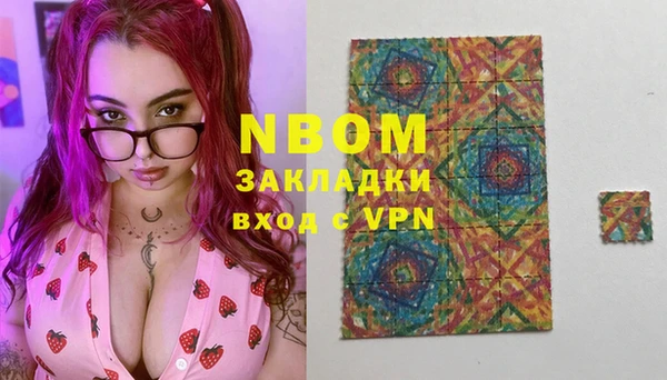 шишки Алзамай