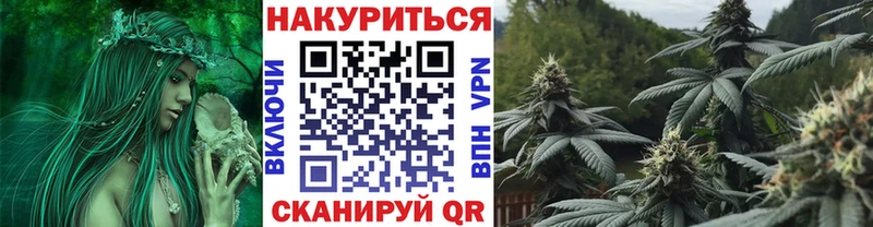 Конопля ГИДРОПОН Кологрив